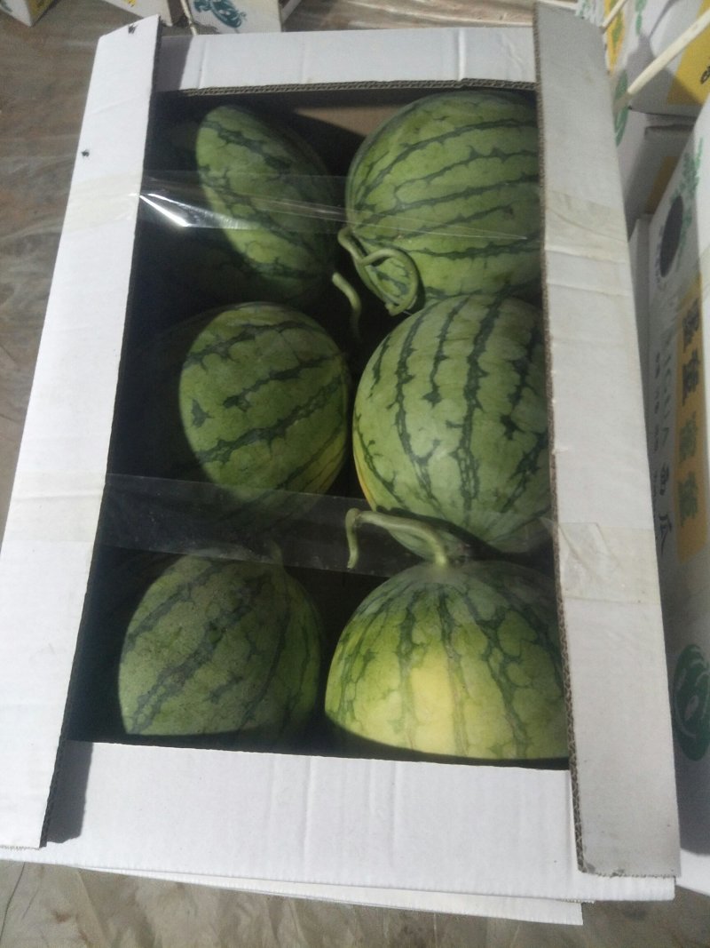 蜜童西瓜