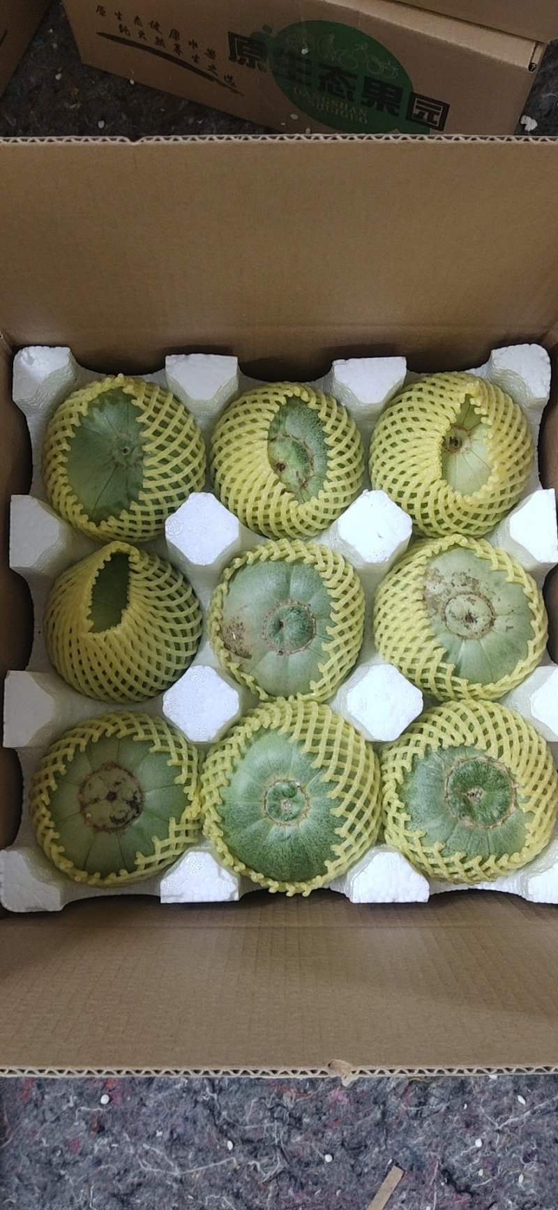 绿宝甜瓜大量上市