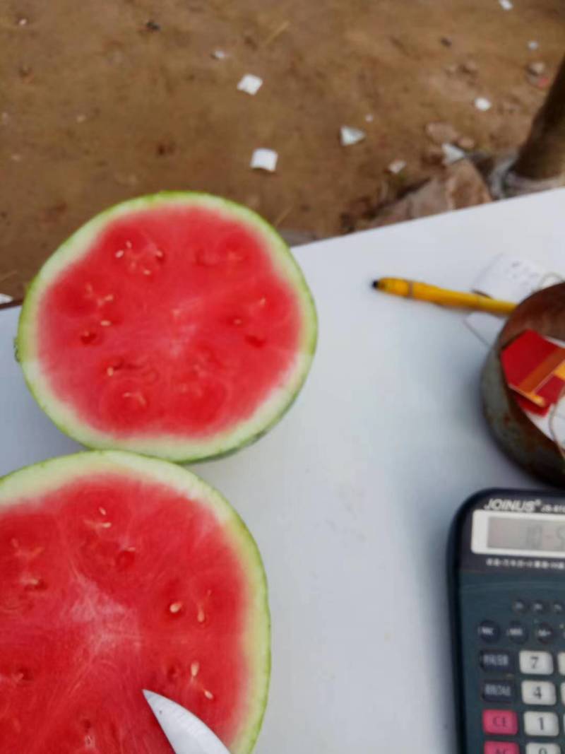 麒麟西瓜，河南开封麒麟西瓜，头茬好货价格实惠欢迎咨询