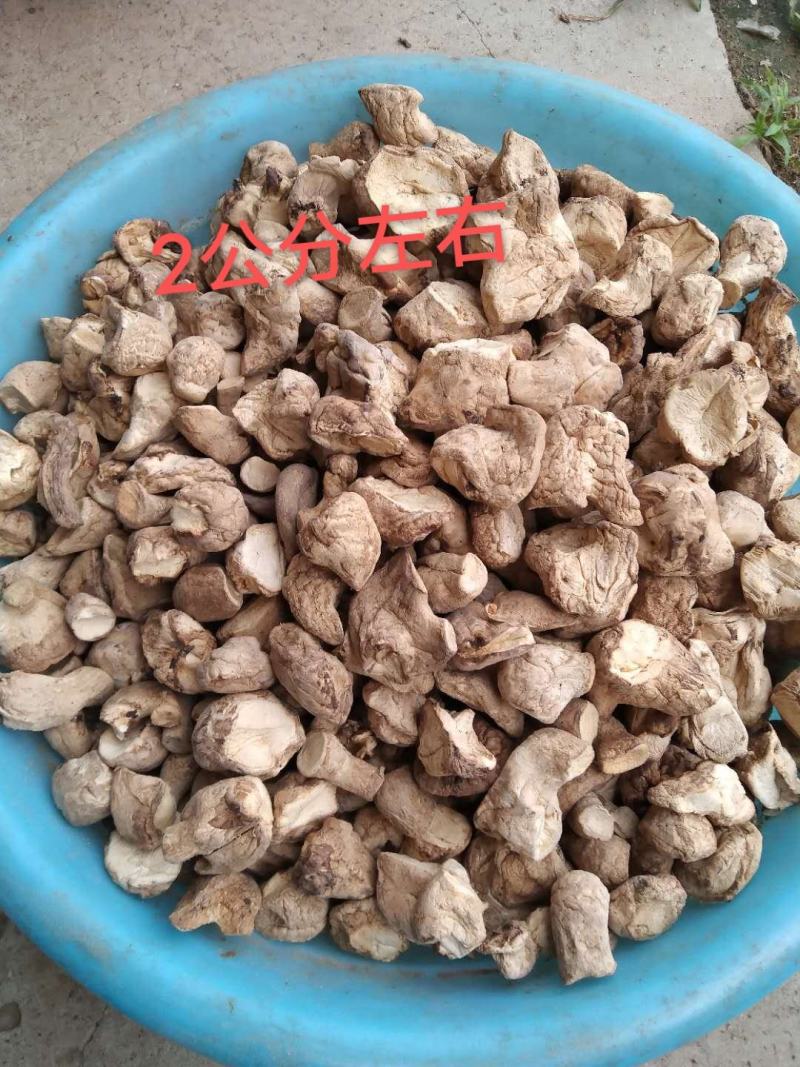 河南内乡香菇腿各种规格，年供应500吨，对接食品加工厂