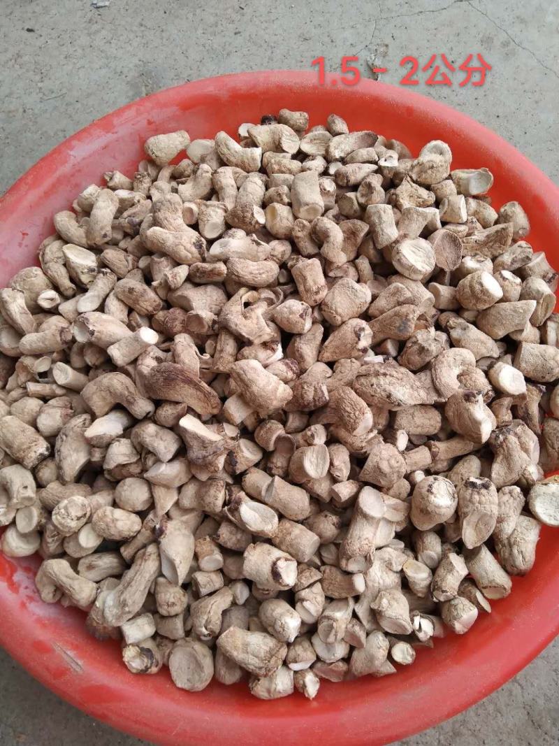 河南内乡香菇腿各种规格，年供应500吨，对接食品加工厂