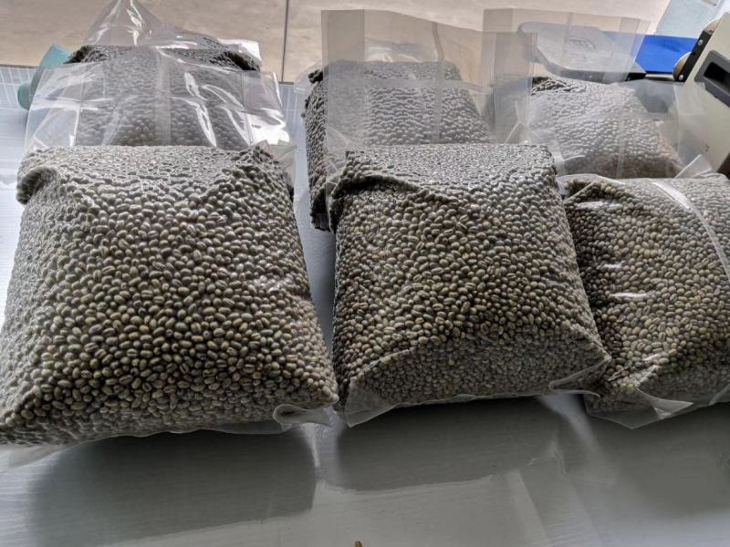 【咖啡豆】云南普洱小粒咖啡豆厂家直发无任何添加