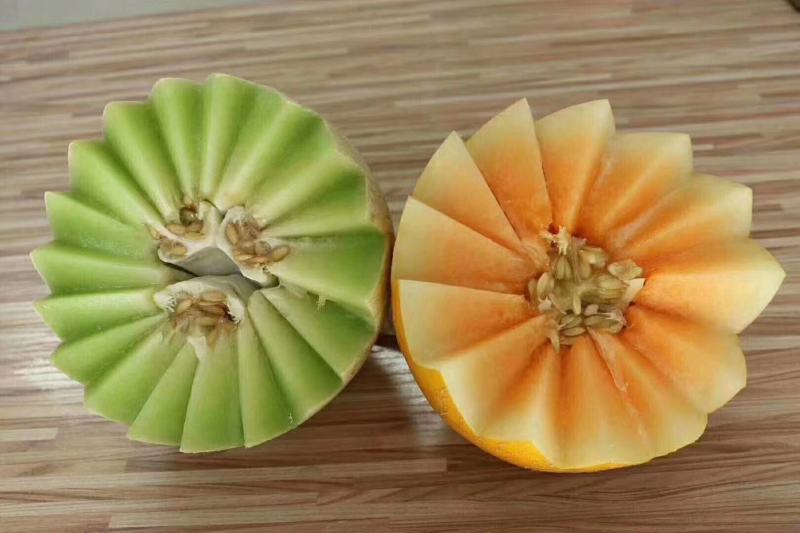 沙老头蜜瓜