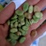 大量出售蚕豆，量大从优
