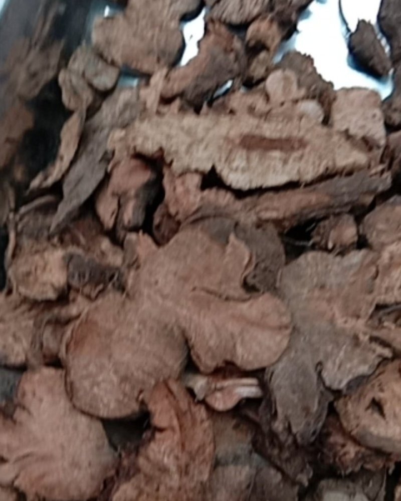 金荞麦，常年批发供应中药材金荞麦，量大从优