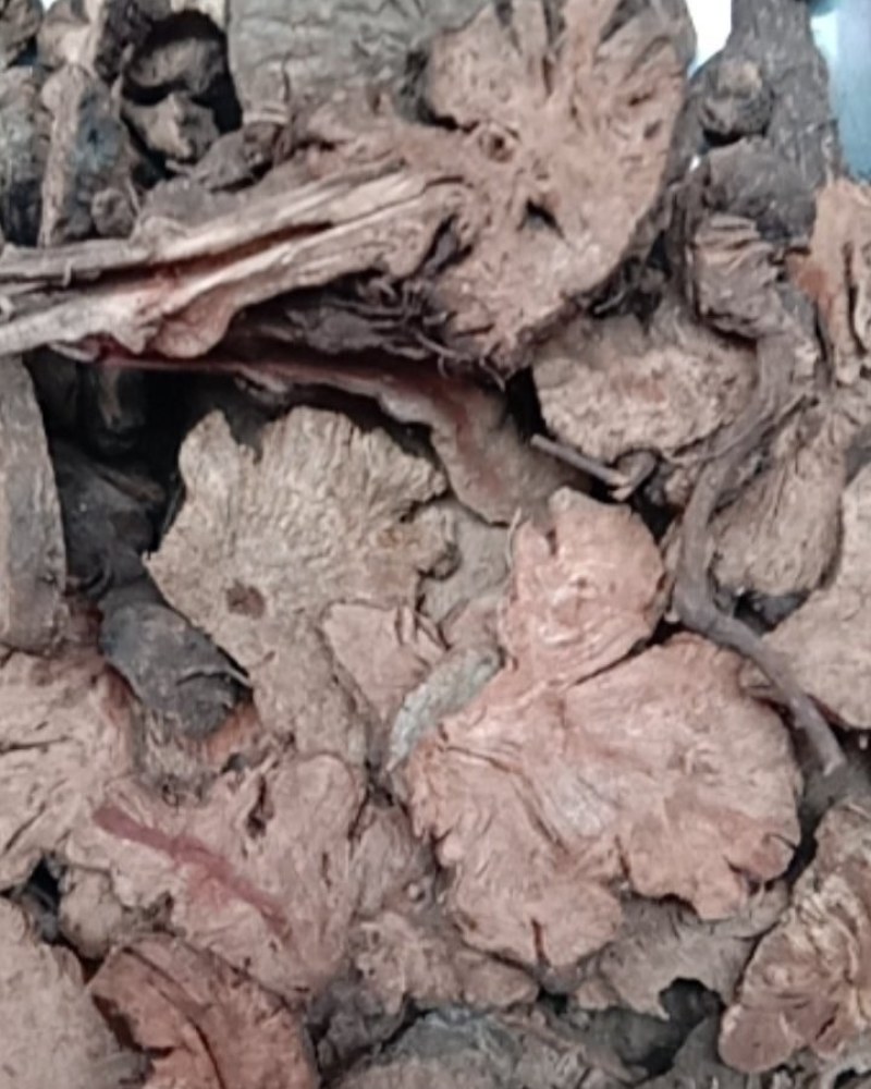 金荞麦，常年批发供应中药材金荞麦，量大从优