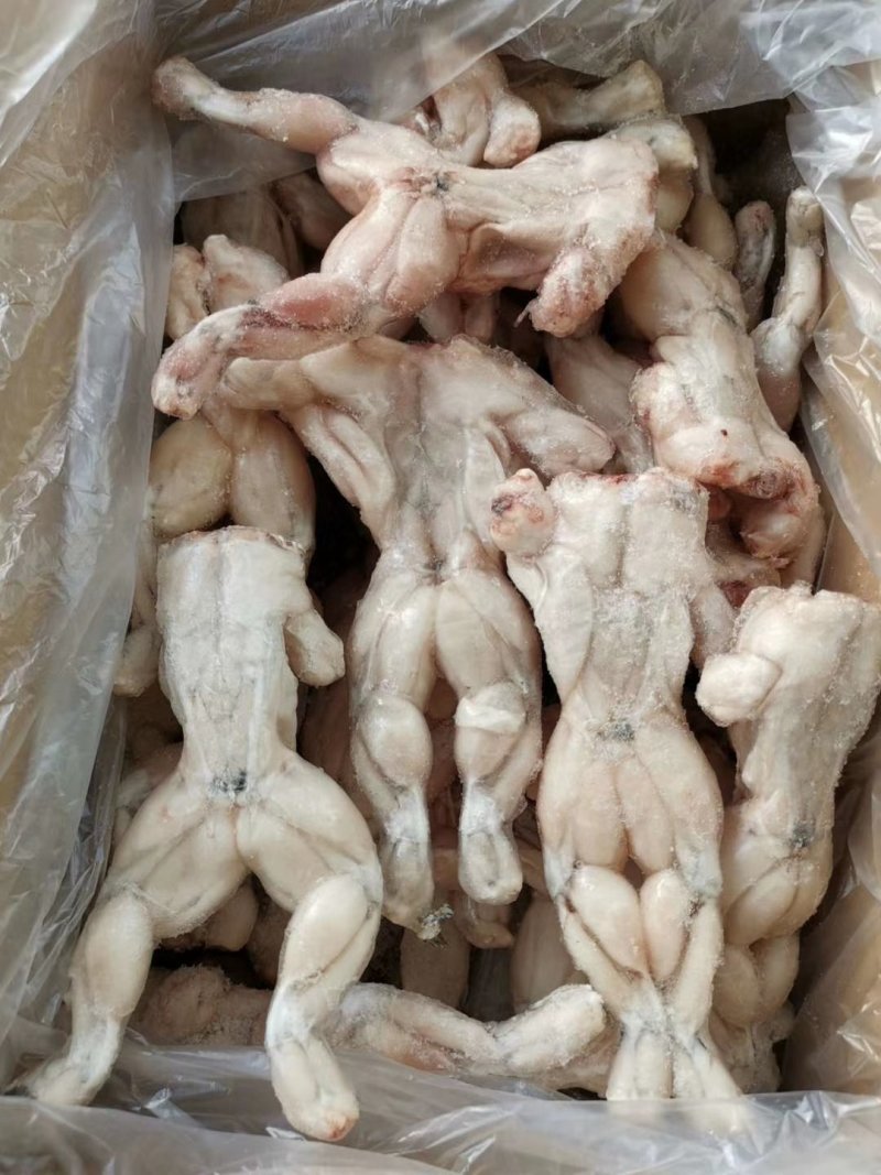 牛蛙，活蛙加工，急冻保鲜，