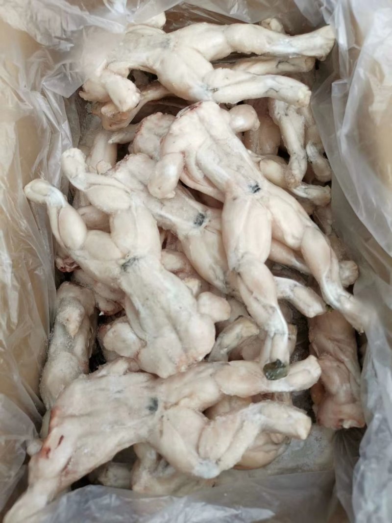 牛蛙，活蛙加工，急冻保鲜，