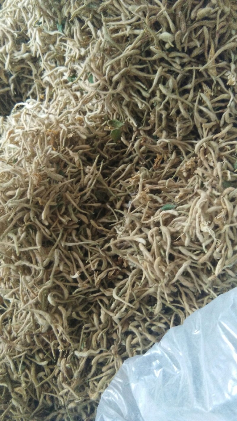 山东原产地优质饮品级别金银花产地直供一手货源发货