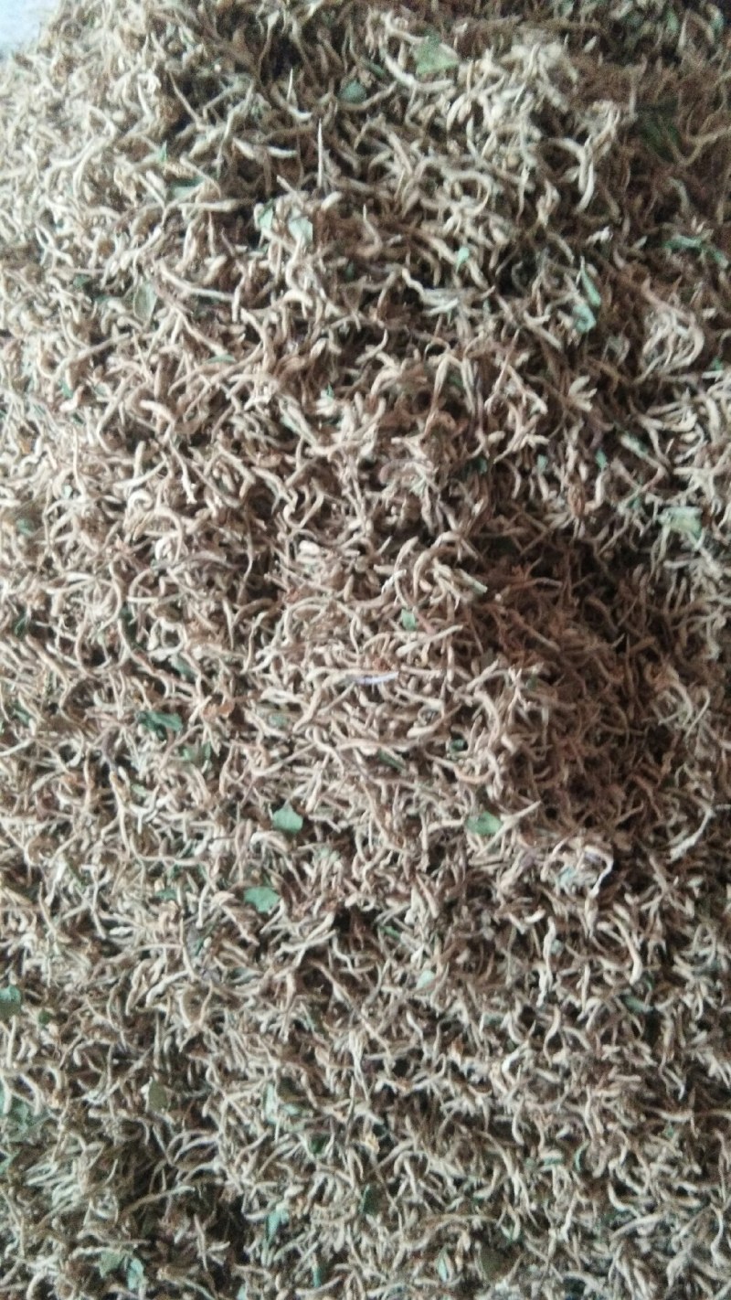 山东原产地优质饮品级别金银花产地直供一手货源发货