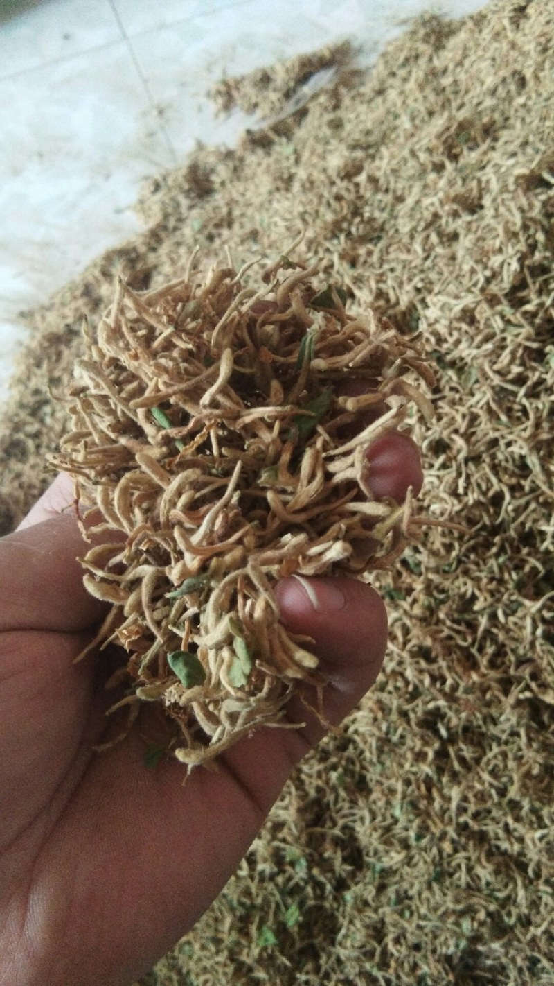 山东原产地优质饮品级别金银花产地直供一手货源发货