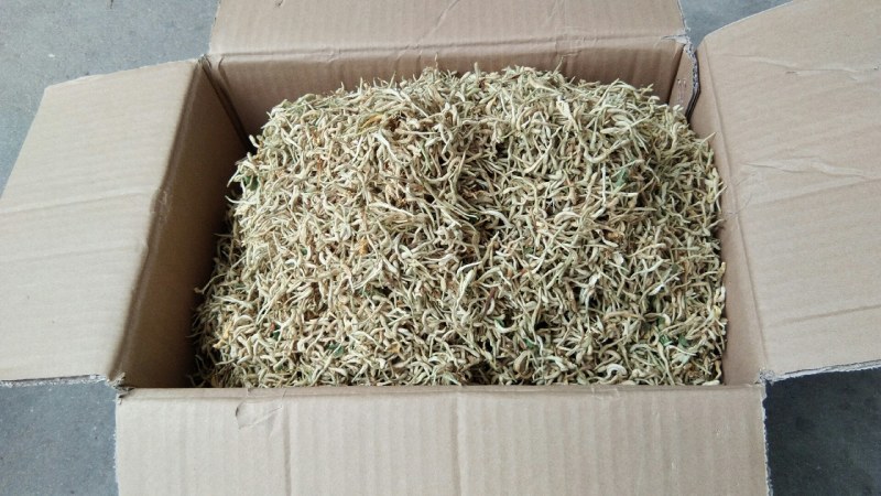 山东原产地优质饮品级别金银花产地直供一手货源发货