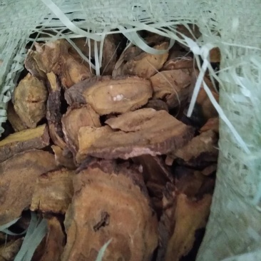 大黄片
