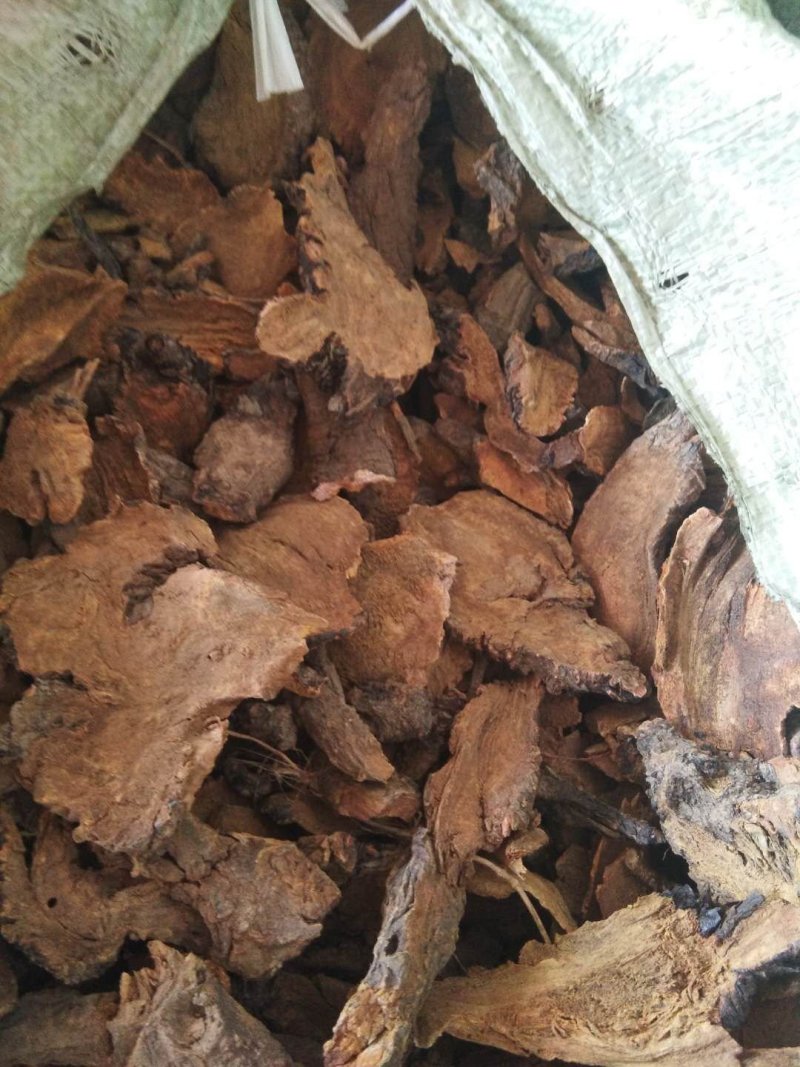 大黄片