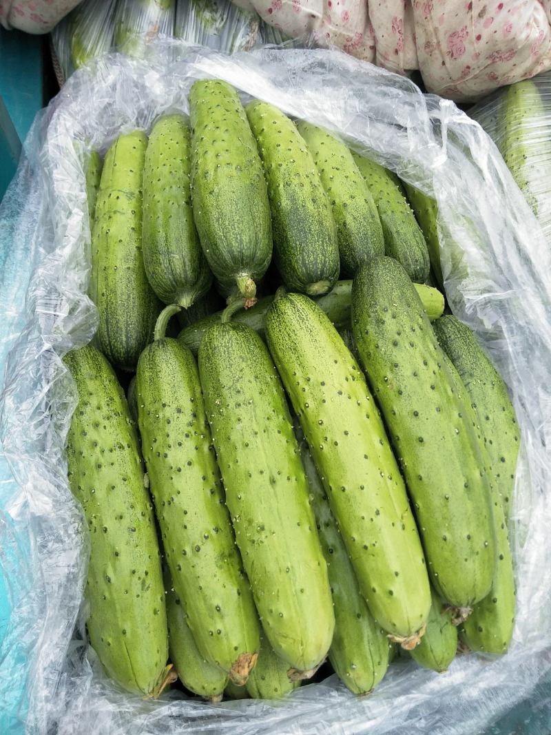 白黄瓜供应春秋量大欢迎光临