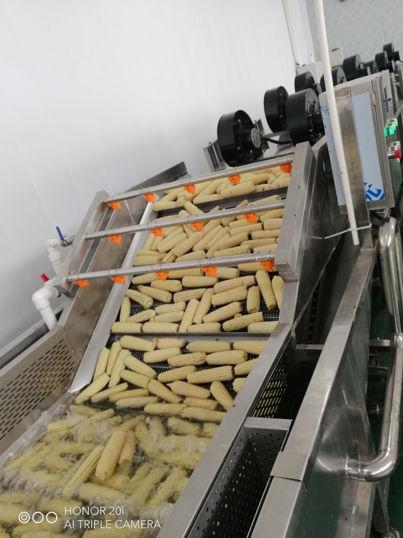 鲜食玉米