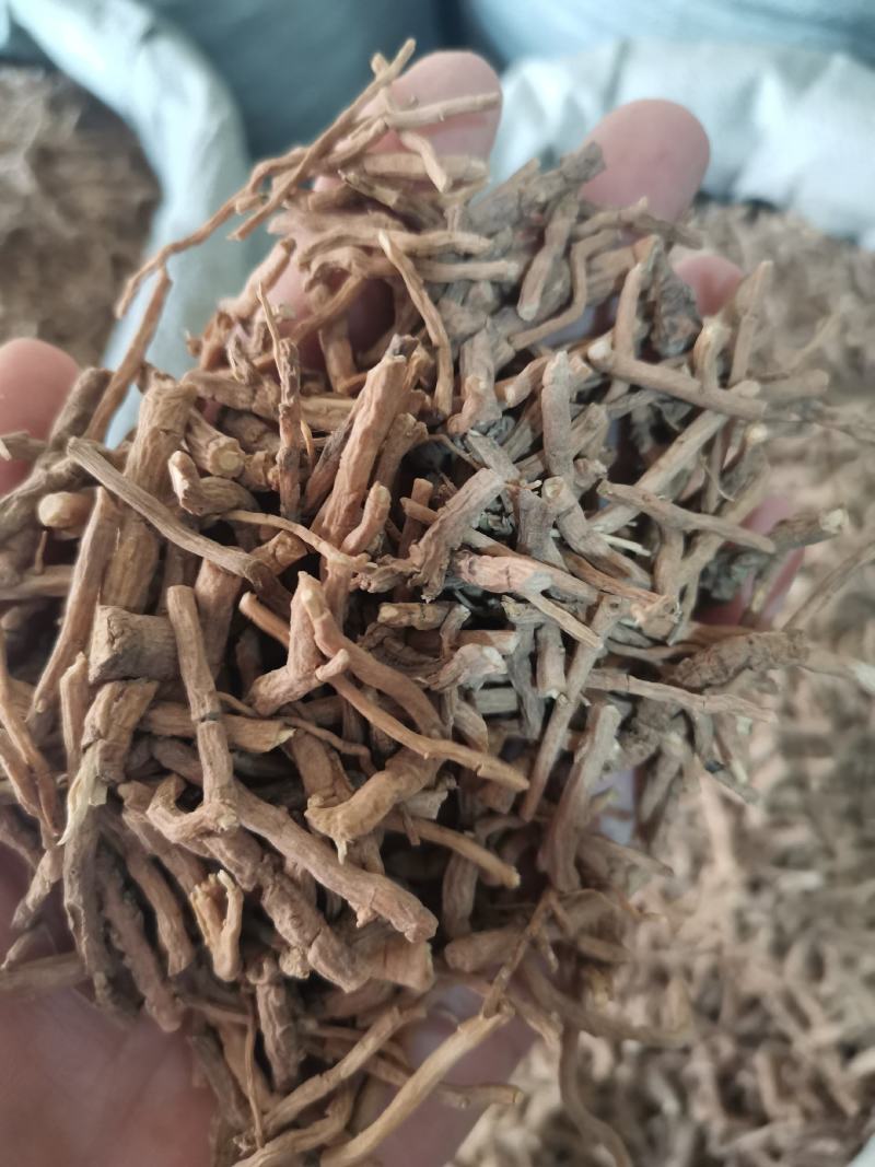远志山西无硫干品规格齐全一公斤起包邮