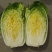 黄心大白菜上市，3-6斤，需要联系，各种包装