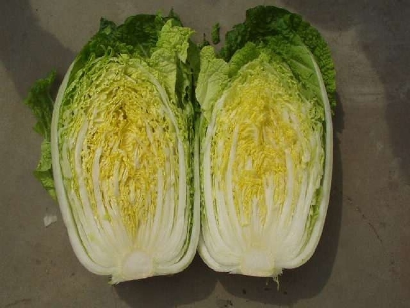 黄心大白菜上市，3-6斤，需要联系，各种包装