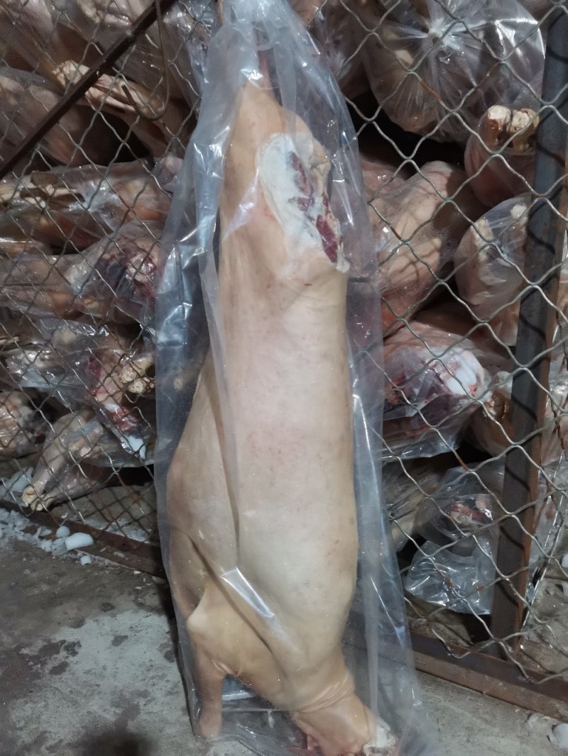 长年批发零售，大羊褪毛白条，照片实物拍摄质量保证