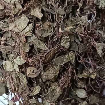 新货正宗野生风柜斗草干品风谷草风鼓草楮头红