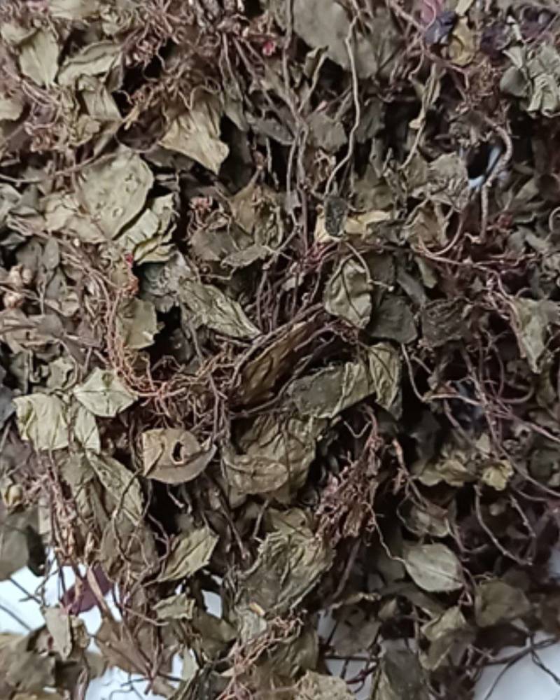 新货正宗野生风柜斗草干品风谷草风鼓草楮头红