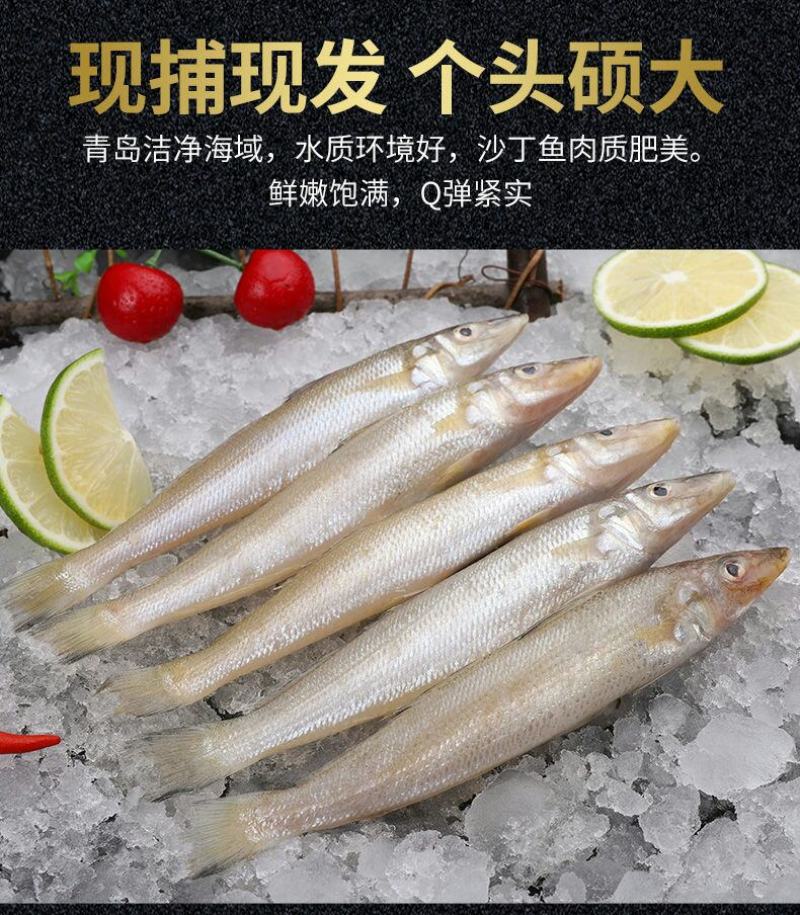 沙丁鱼新鲜青岛海捕深海鱼鲜活冷冻3斤5斤顺丰包邮