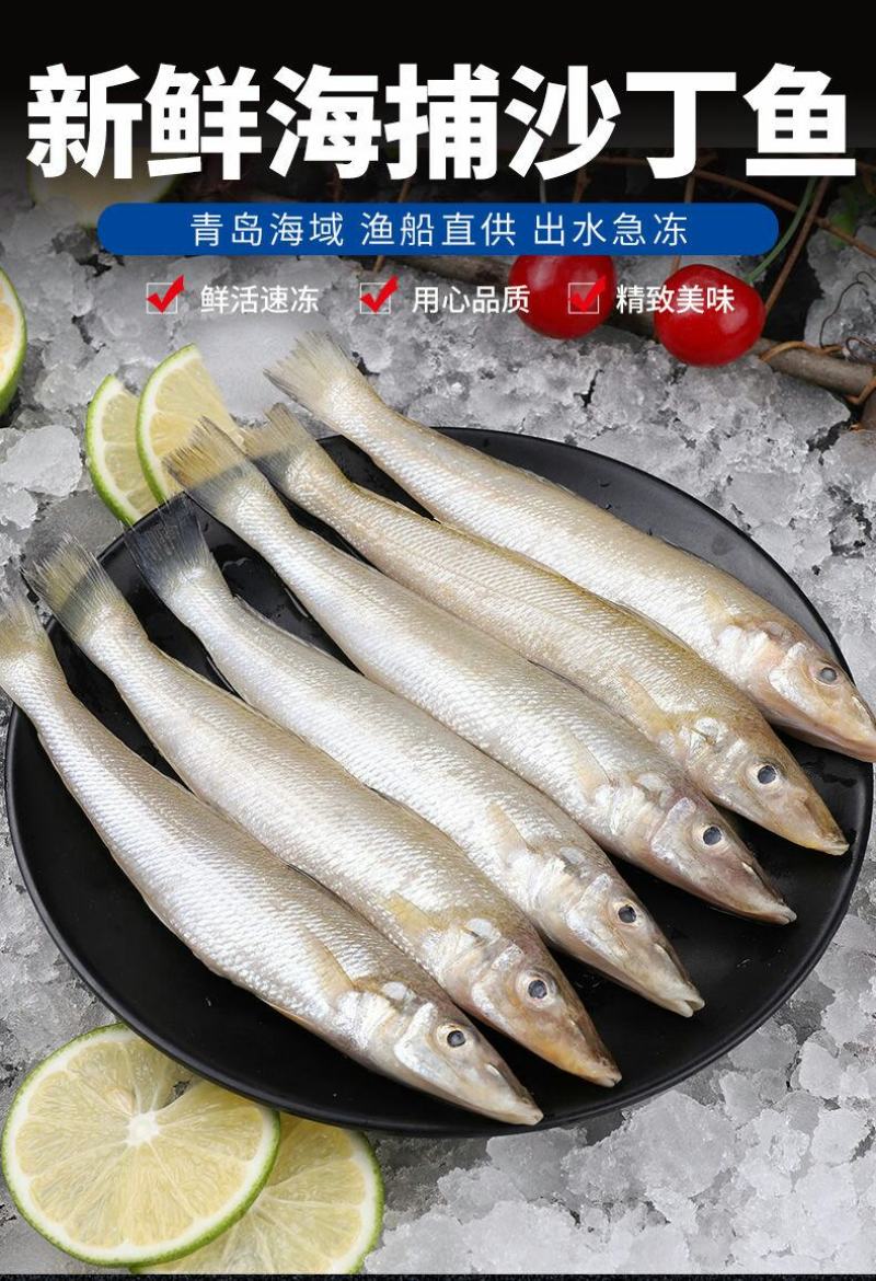 沙丁鱼新鲜青岛海捕深海鱼鲜活冷冻3斤5斤顺丰包邮