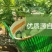 海南红心木瓜，冰糖牛奶木瓜果园直销，长期代办