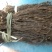 洋县脱水长豆角，产地直供，自然晾晒，无霉烂，无夹心欢迎各