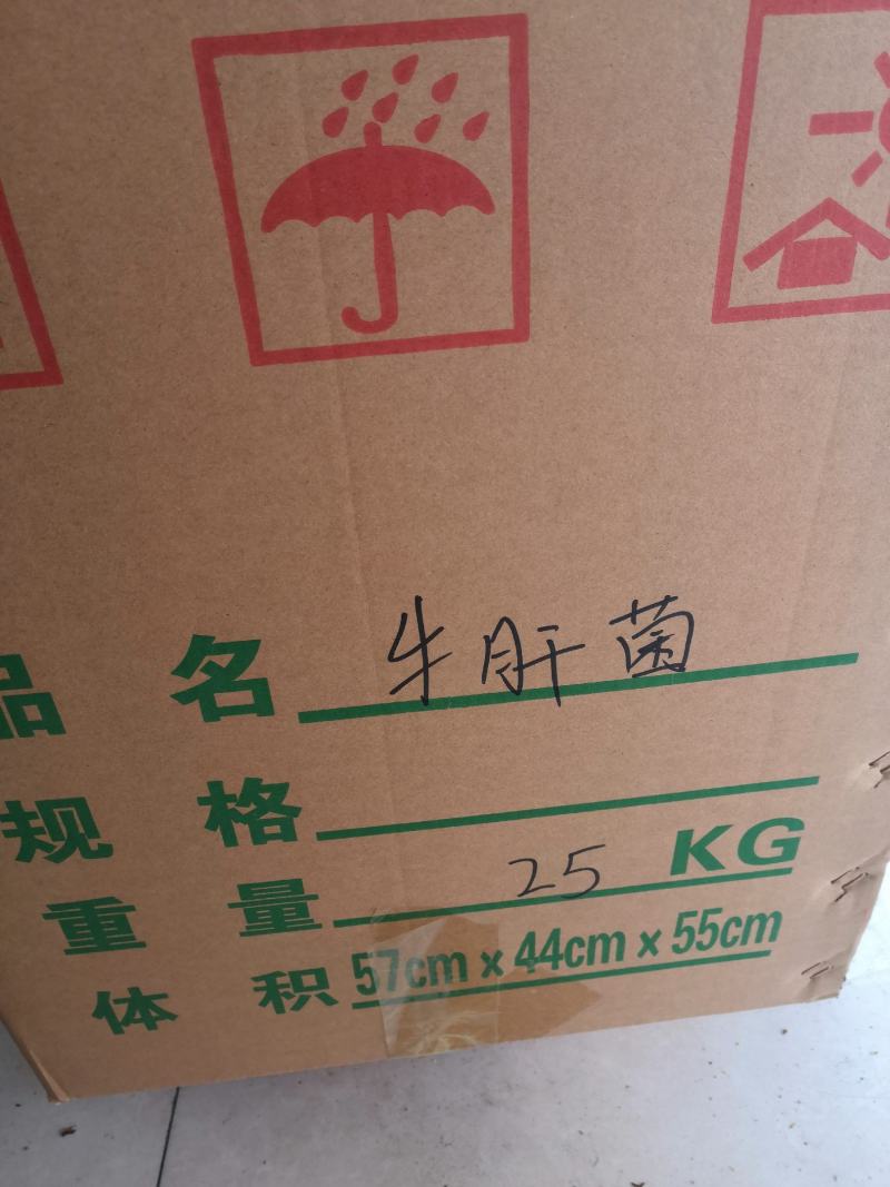 伏牛山脉身干无杂产地直发精选优质野生青头菌系列
