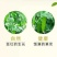 红白豌豆大粒干豌豆精选过筛重庆小面适用新鲜上市过6.7筛