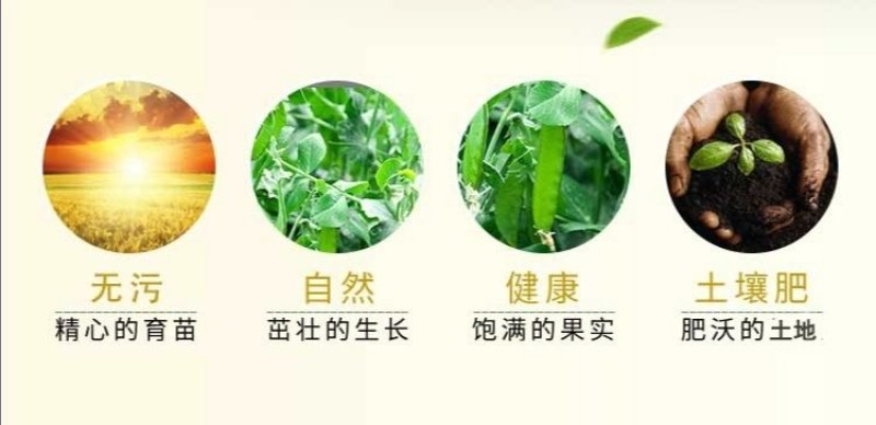 红白豌豆大粒干豌豆精选过筛重庆小面适用新鲜上市过6.7筛