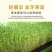 红白豌豆大粒干豌豆精选过筛重庆小面适用新鲜上市过6.7筛