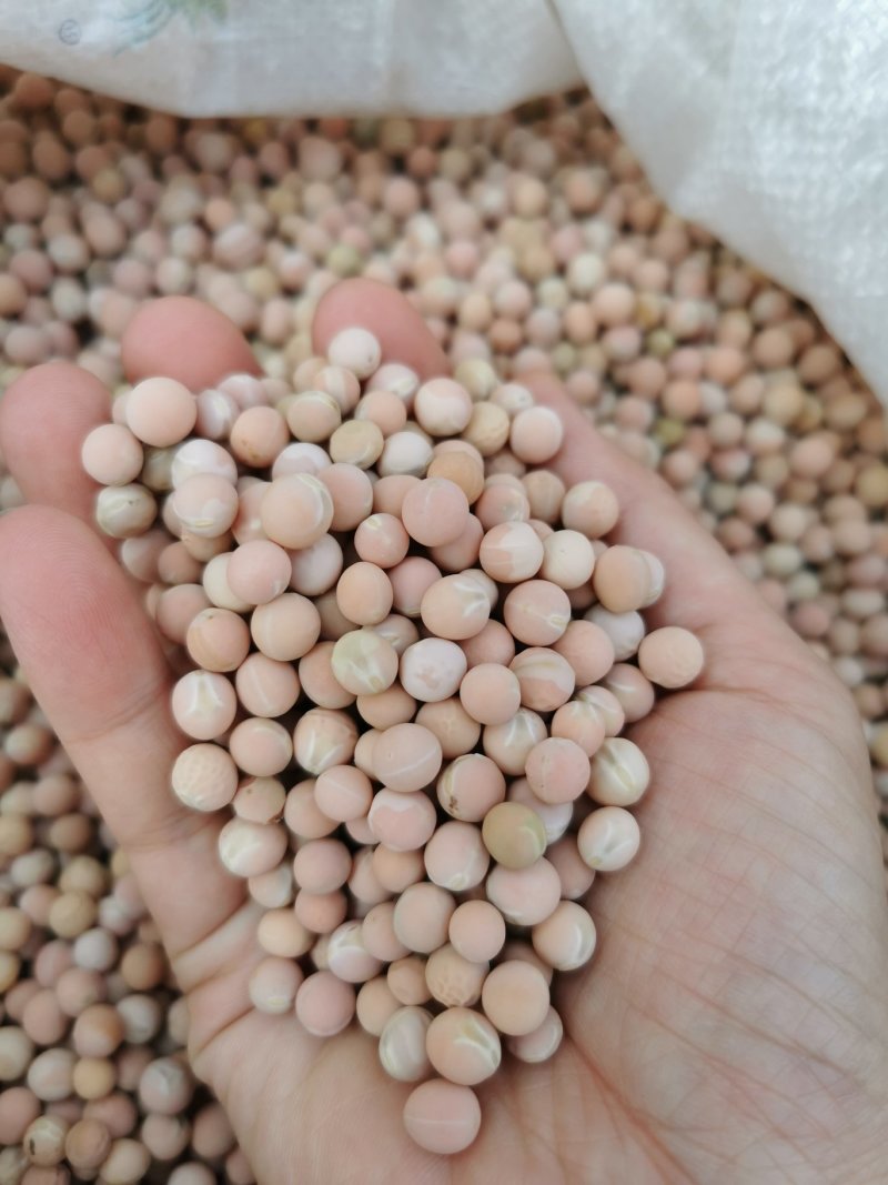 红白豌豆大粒干豌豆精选过筛重庆小面适用新鲜上市过6.7筛
