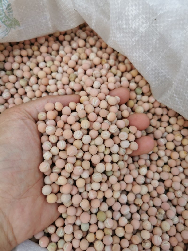 红白豌豆大粒干豌豆精选过筛重庆小面适用新鲜上市过6.7筛