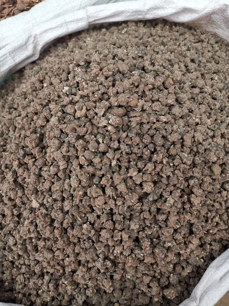 猫爪草全干猫爪草规格齐全产地一手货源可供大货