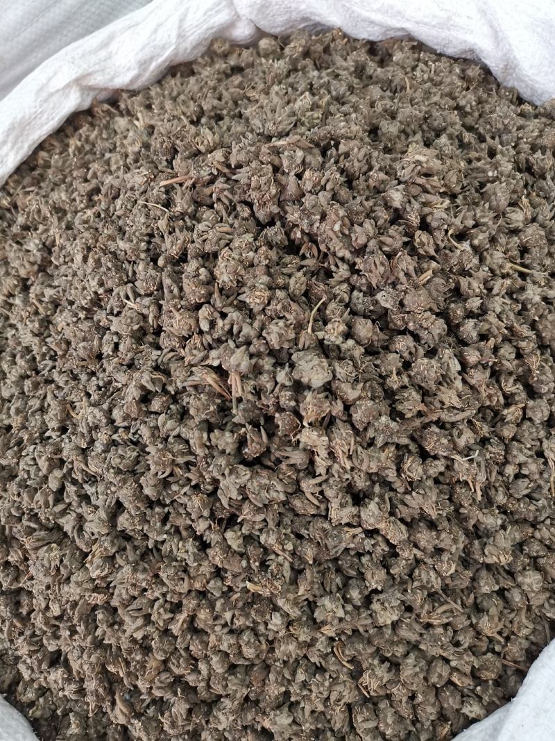 猫爪草全干猫爪草规格齐全产地一手货源可供大货