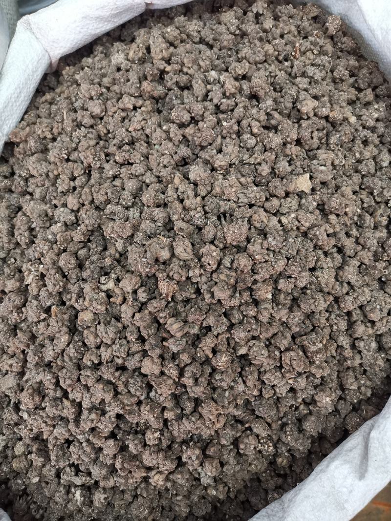 猫爪草全干猫爪草规格齐全产地一手货源可供大货