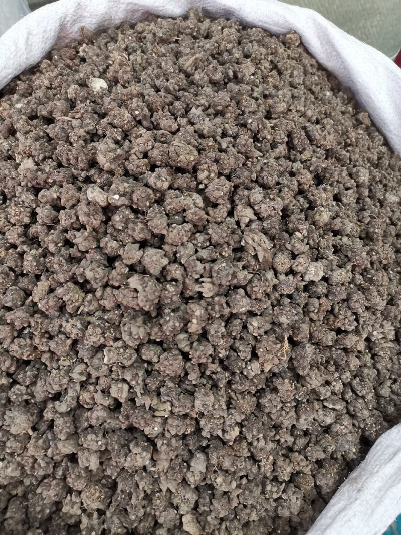 猫爪草全干猫爪草规格齐全产地一手货源可供大货
