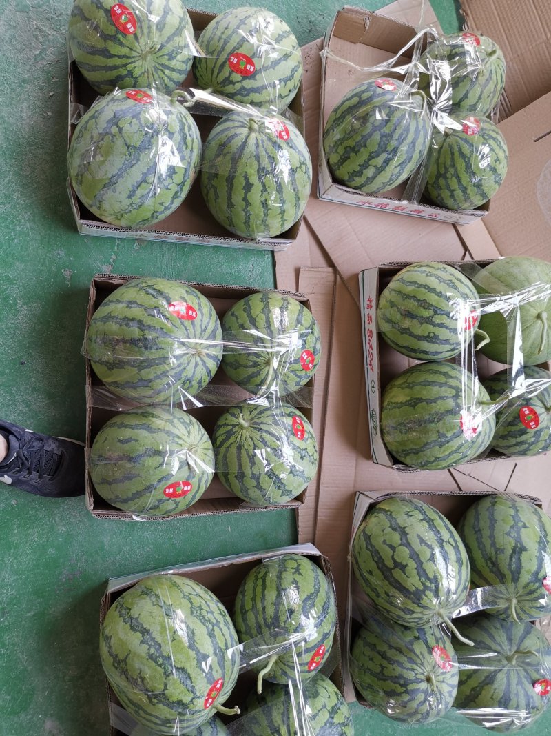 胶带封箱胶带蔬菜胶带纸箱定制
