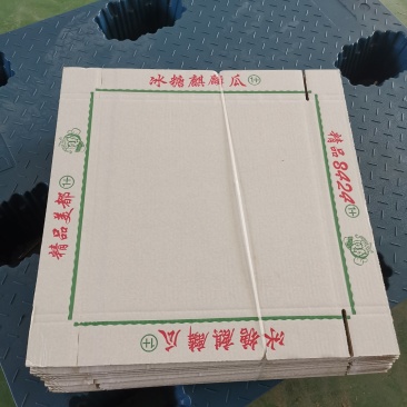 纸箱西瓜托盘4粒黄皮箱4粒彩箱