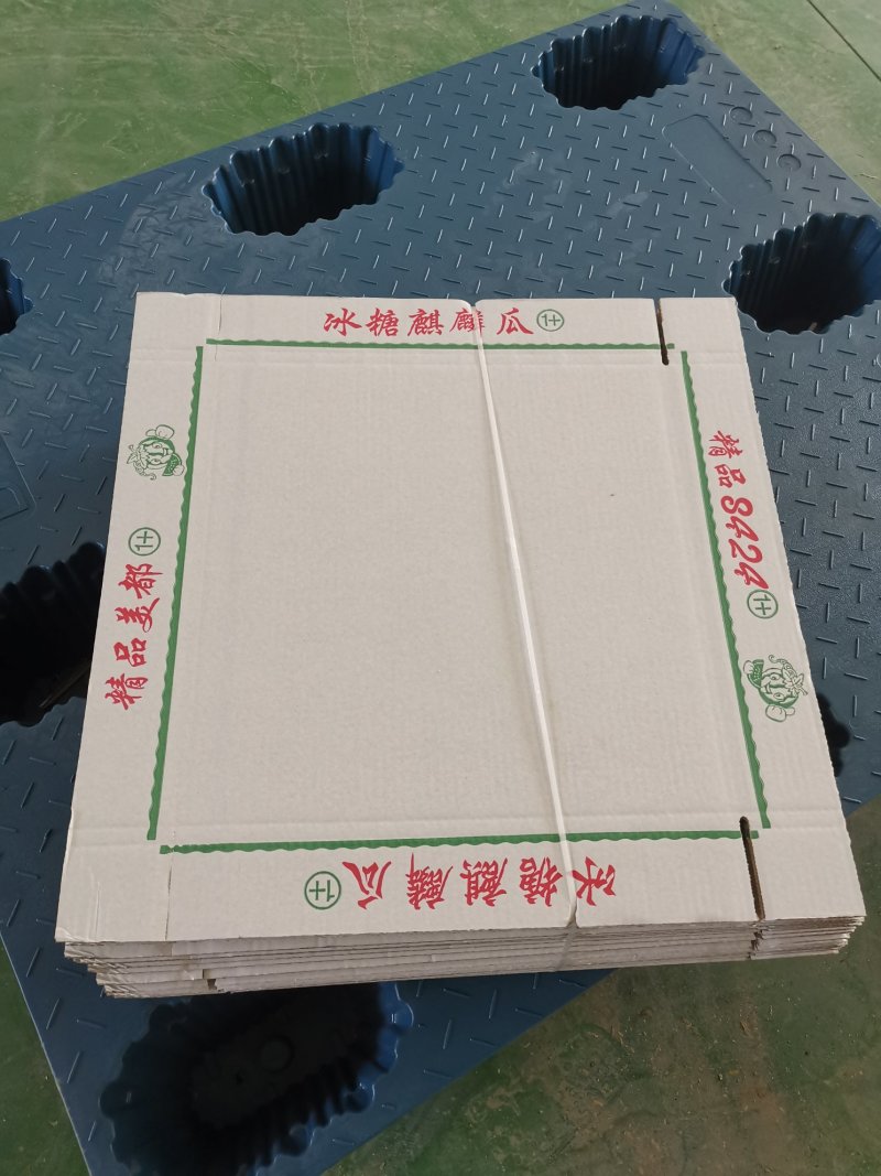 纸箱西瓜托盘4粒黄皮箱4粒彩箱