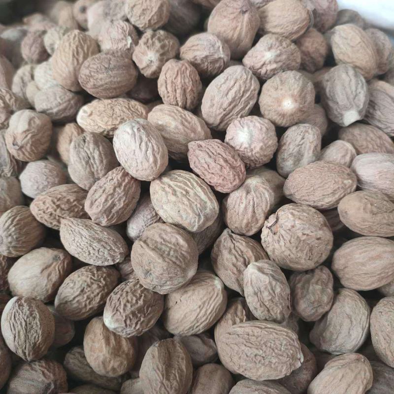 肉豆蔻无硫净货颗粒饱满肉蔻各种香料规格齐全批发