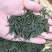 头采·峨眉雀舌香高、型美、回甘持久