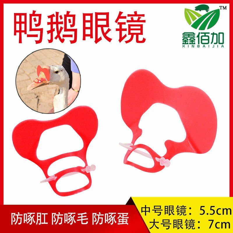 鸭用眼镜鸭眼罩鸭用防啄眼镜鸭子防啄眼镜肉鸭眼镜