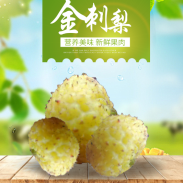 金刺梨又名刺石榴陕西秦岭野生天然无硫干刺梨泡酒水包邮