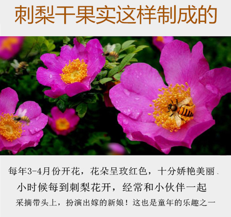 金刺梨又名刺石榴陕西秦岭野生天然无硫干刺梨泡酒水包邮