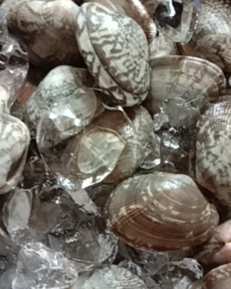 【热销】精品辽宁大连海鲜礼盒，花甲生蚝扇贝等常年供货
