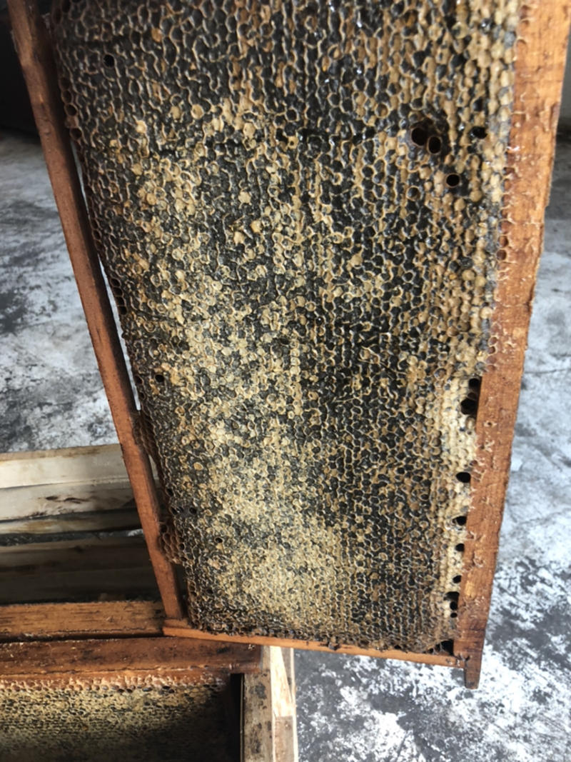 五年以上老的蜂巢蜜含有花粉蜂胶多种维生素氨基酸
